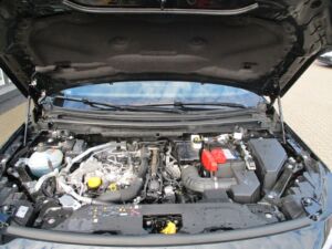 RENAULT Austral Mild Hybrid 160 Techno Automatik - Detail 19